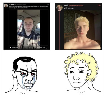 troonery.jpeg