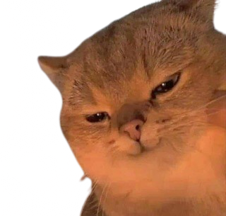evilcat :evilcat: