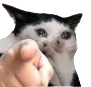 :catsob: