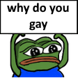 :whygay: