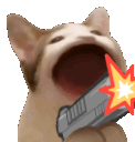 ER Cat :ERcat